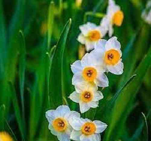 اکبر حصاری اینکارو با دلم نکن